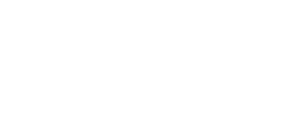 Practico Director